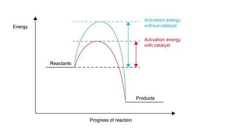 Activation Energy with Catalyst